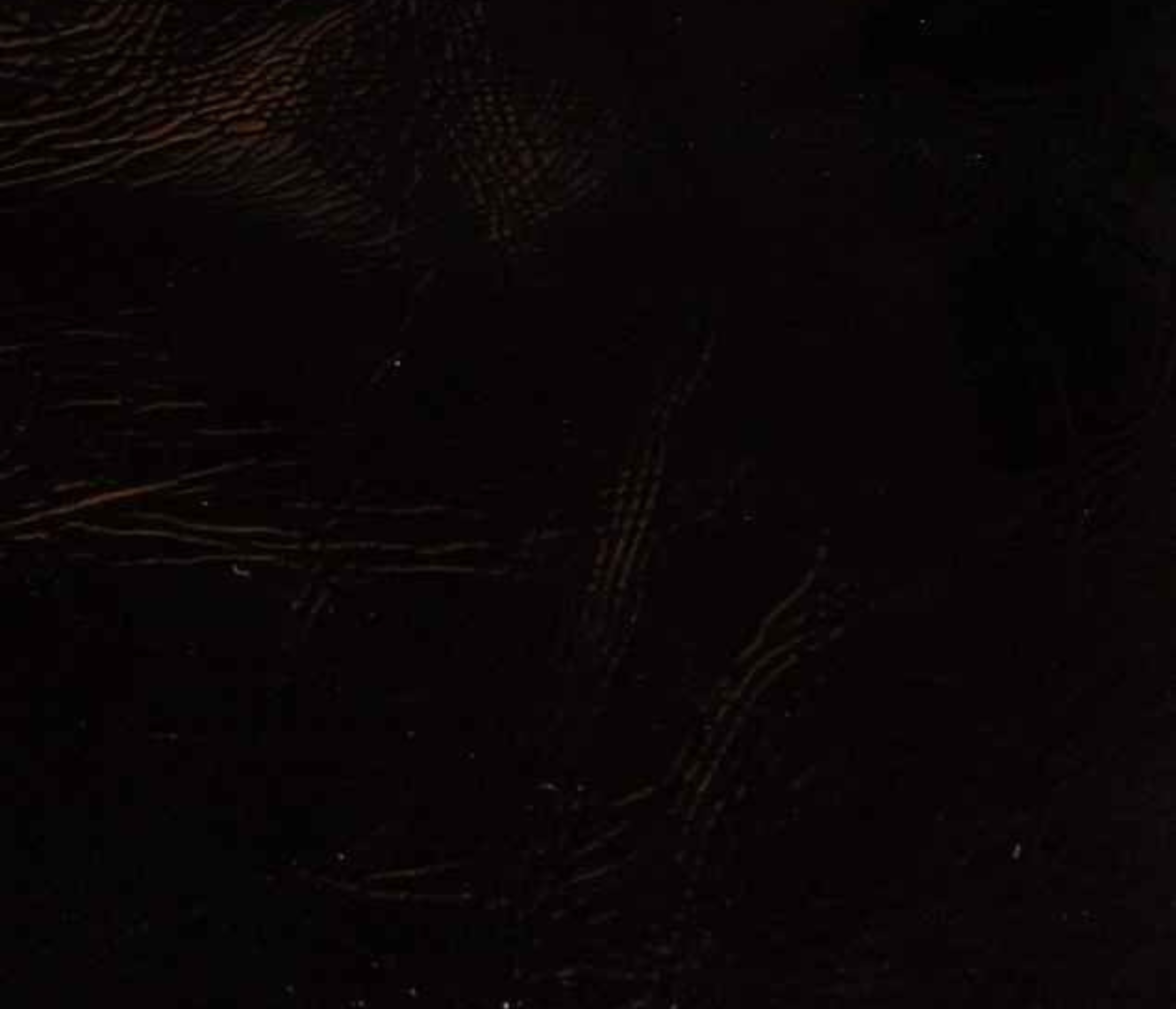 Couleur cuir