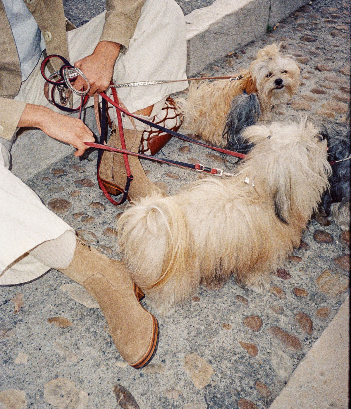Terence bottine en cuir sable, bottine cuir croute, bottine mixte, bottine femme, bottine homme, bottine mixte, bottine portée, bottine camarguaise, bottine camarguaise homme, terence la botte gardiane,