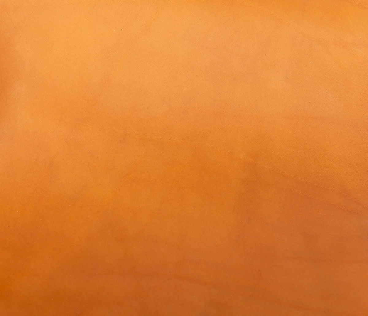 Couleur Cuir : Plateau