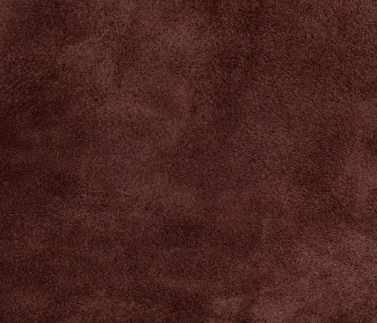 Couleur Cuir : Plateau