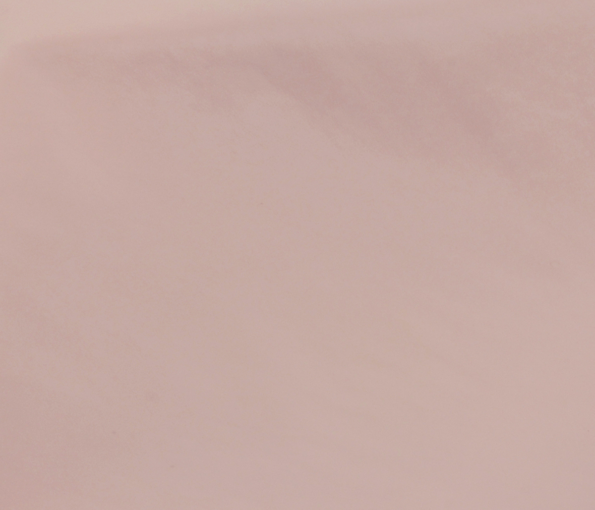 Couleur cuir