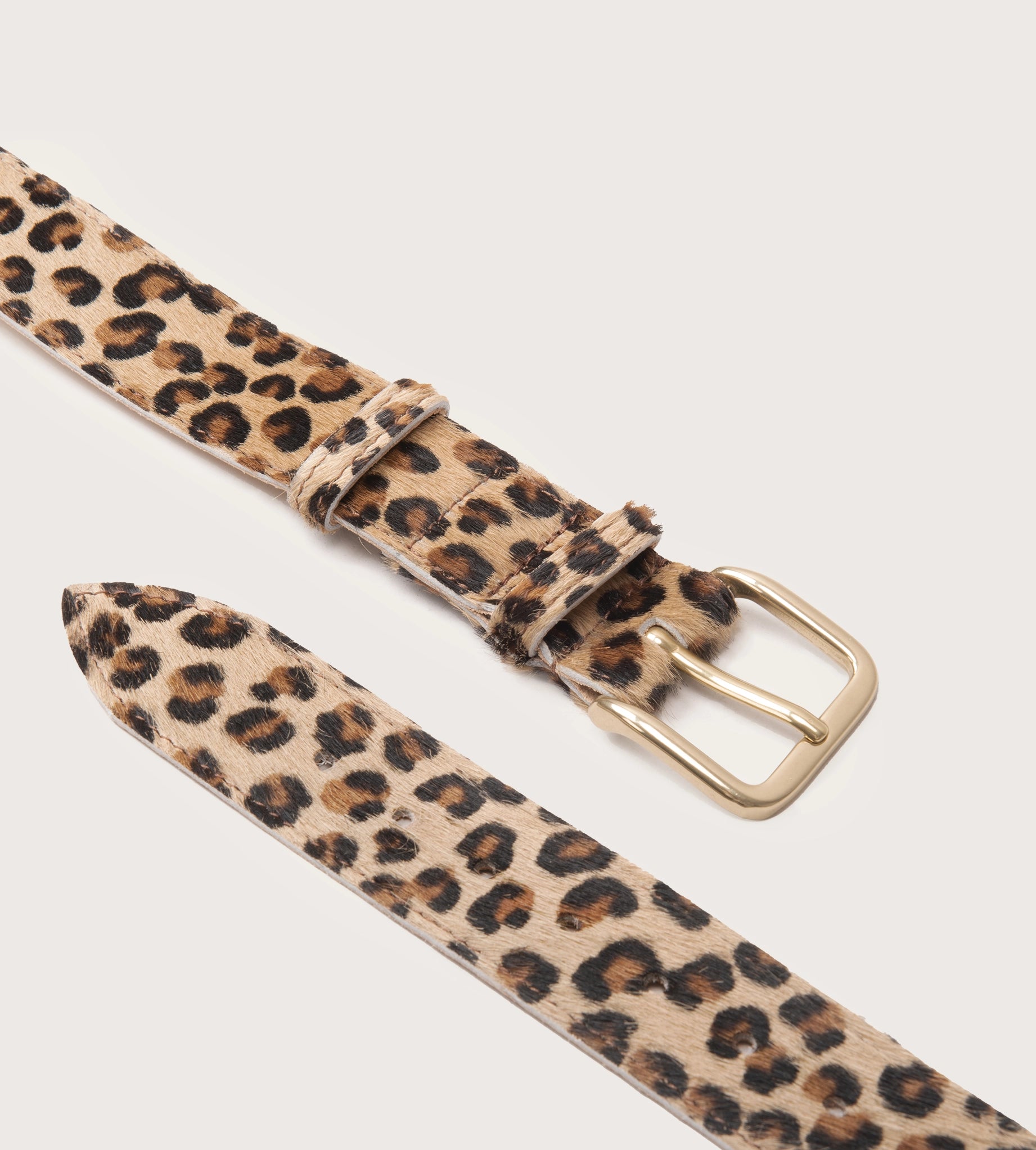 35mm belt with leopard print