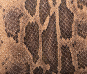 PY03 Python marron