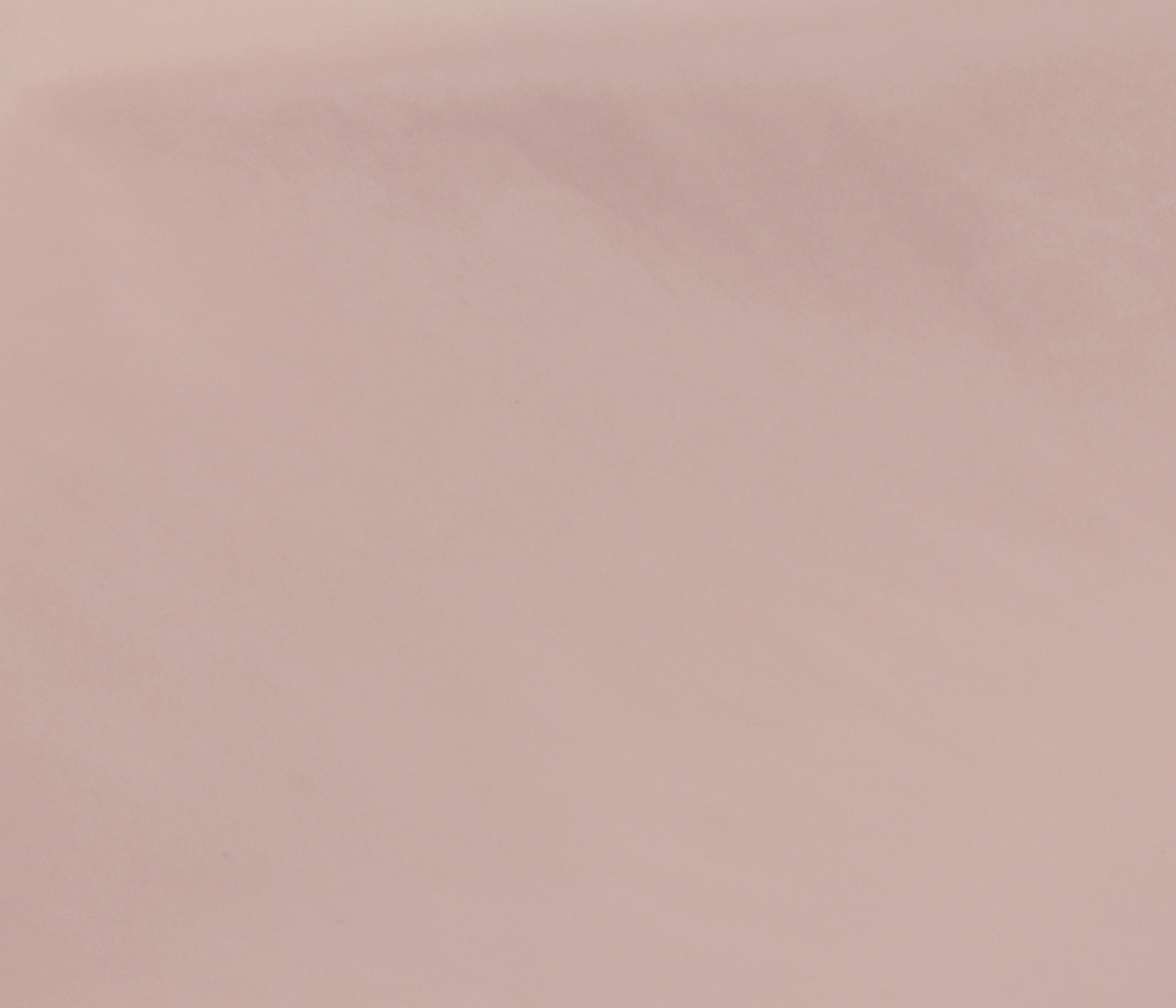 Couleur cuir