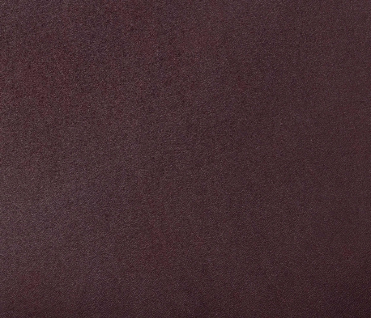 Couleur Cuir : Plateau