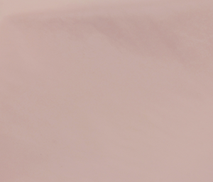 VS20 Souple nude