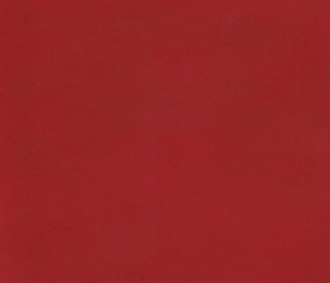 VS06 Souple rouge